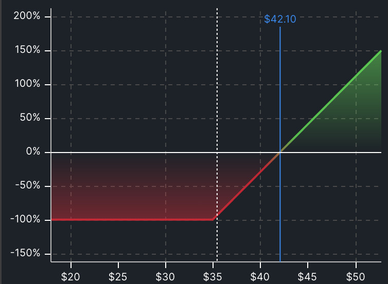 Screenshot of the profit and loss graph at expiration